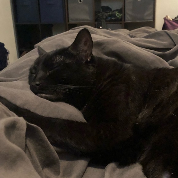 Meet your Posher, Megan - Picture 1 of 1